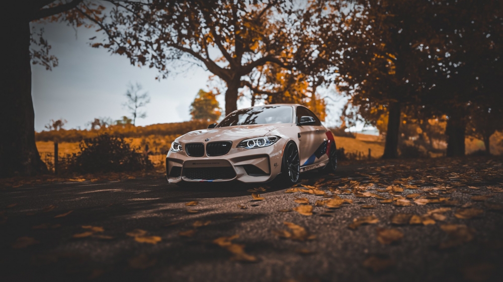 点击大图看下一张：BMW M2汽车图片欣赏