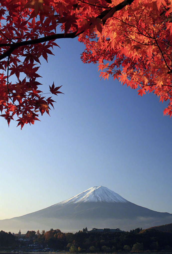 点击大图看下一张：红枫掩映下的绝美富士山