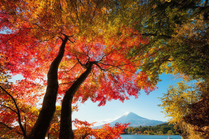点击大图看下一张：红枫掩映下的绝美富士山