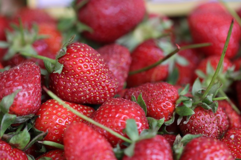 点击大图看下一张：一组酸甜可口的草莓图片