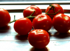 一组红红的番茄图片