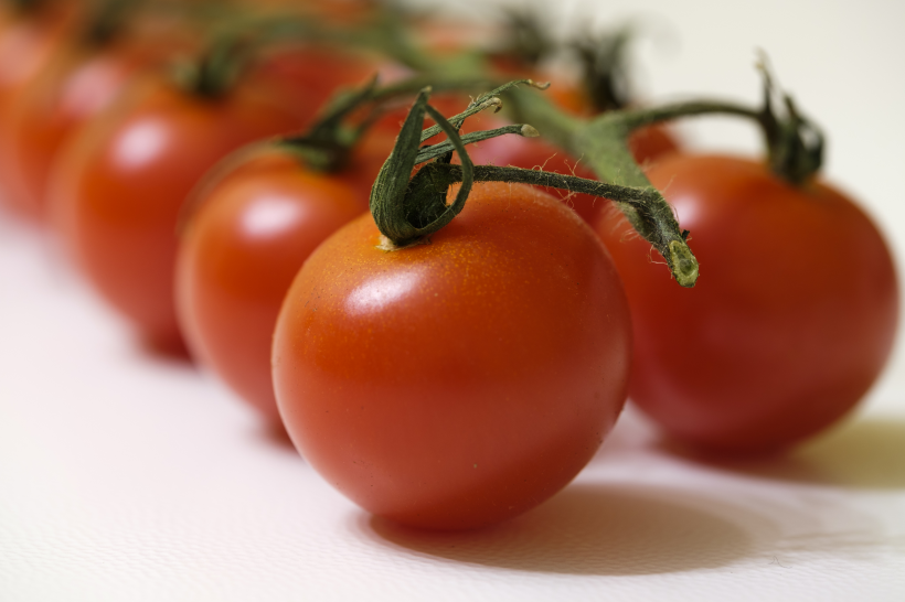 点击大图看下一张：新鲜营养的番茄图片