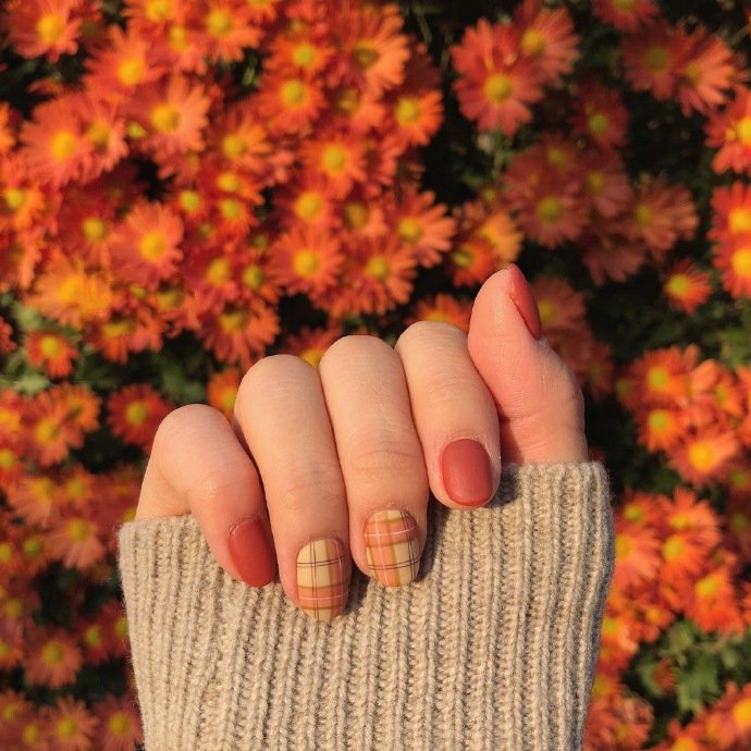 点击大图看下一张：一组美美的秋冬格纹美甲图片