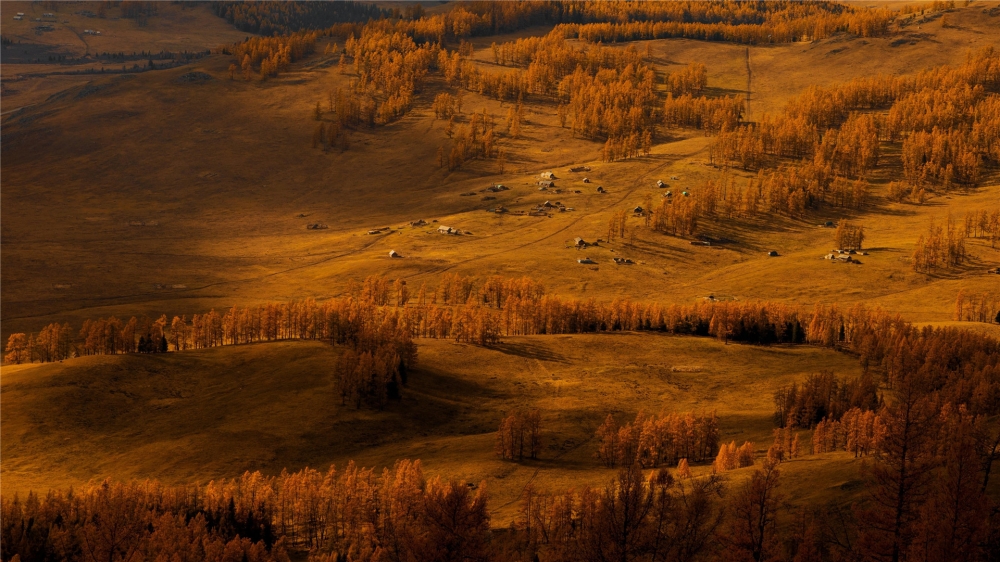 点击大图看下一张：新疆秋季风光壁纸图片