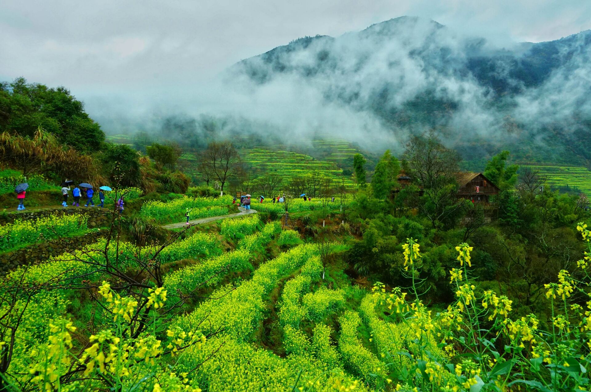 点击大图看下一张：婺源的油菜花田，童话般的田园风光
