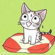 大眼睛呆萌可爱的起司猫卡通头像图片