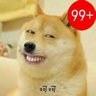 可爱卖萌的狗狗强迫症微信头像图片