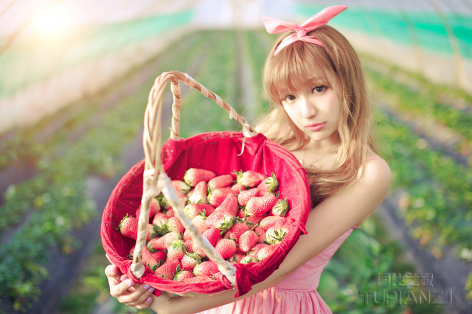 点击大图看下一张：采草莓的90后小姑娘 粉红裙清纯活力