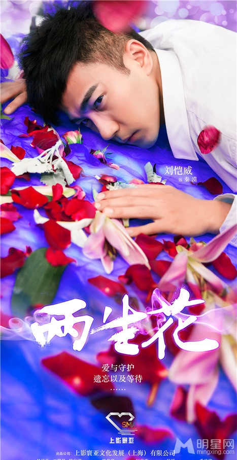 点击大图看下一张：两生花绚丽海报 王丽坤置身满地玫瑰(4)