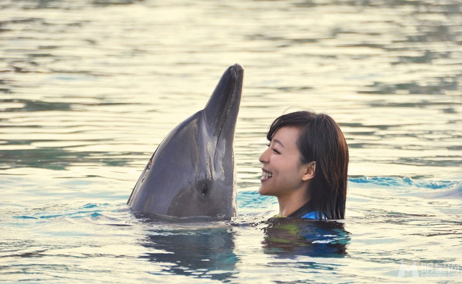 点击大图看下一张：张静初迪拜与海豚水中亲吻(5)
