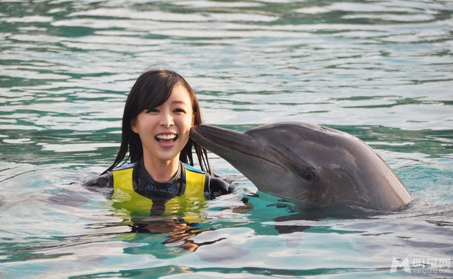 点击大图看下一张：张静初迪拜与海豚水中亲吻(4)