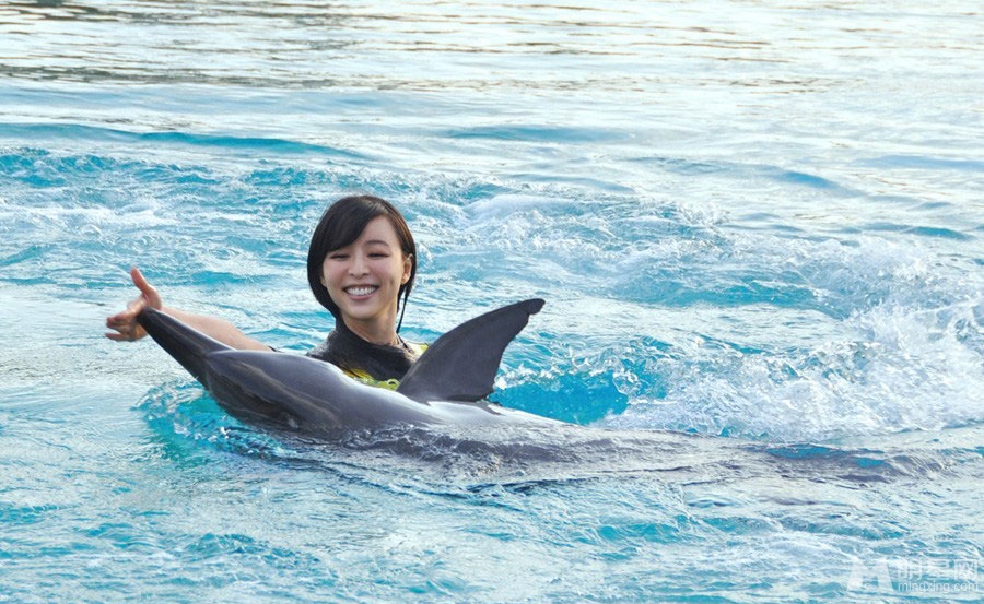 点击大图看下一张：张静初迪拜与海豚水中亲吻(6)