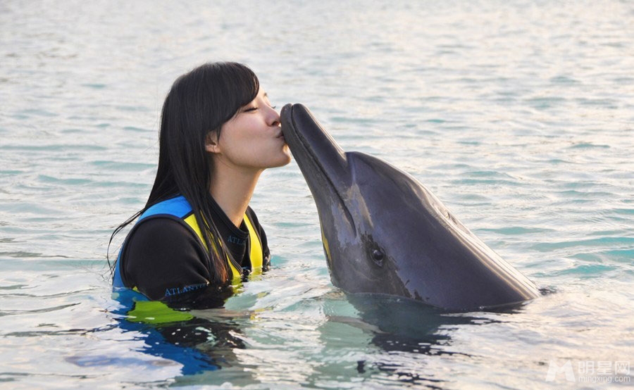 点击大图看下一张：张静初迪拜与海豚水中亲吻(9)