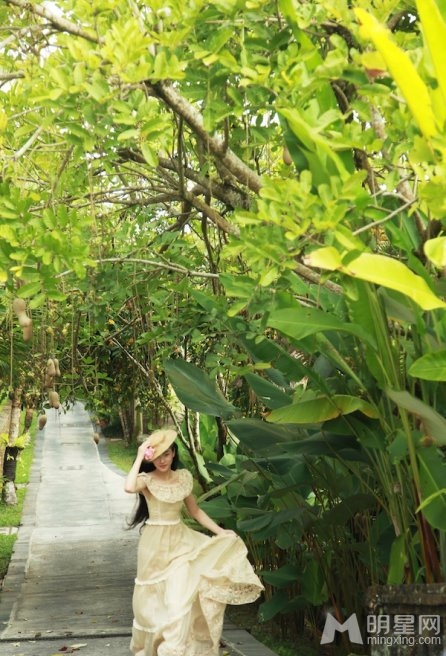 点击大图看下一张：张辛苑2012巴厘岛浪漫唯美写真集(6)
