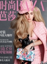 Lady Gaga登杂志封面 性感网袜大秀美腿