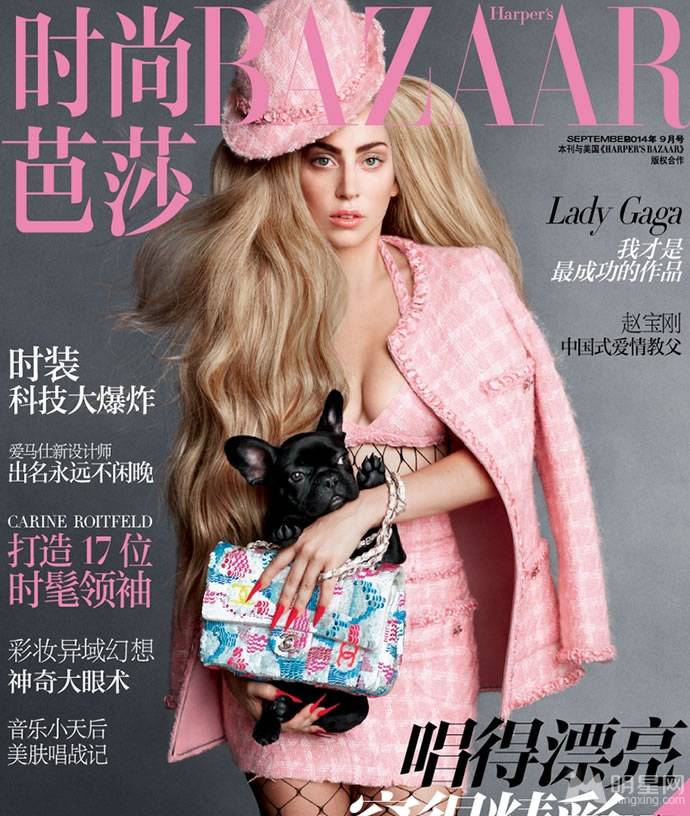 点击大图看下一张：Lady Gaga登杂志封面 性感网袜大秀美腿(0)