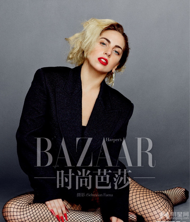 点击大图看下一张：Lady Gaga登杂志封面 性感网袜大秀美腿(3)