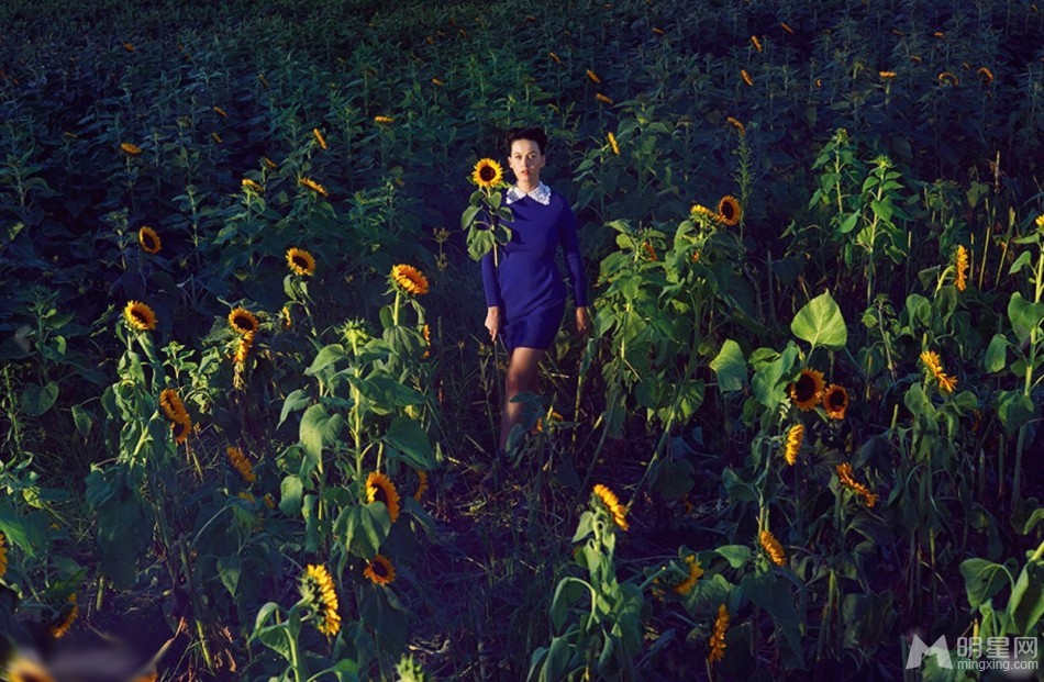 点击大图看下一张：凯蒂·佩里花海写真 蝴蝶环绕唯美梦幻(7)