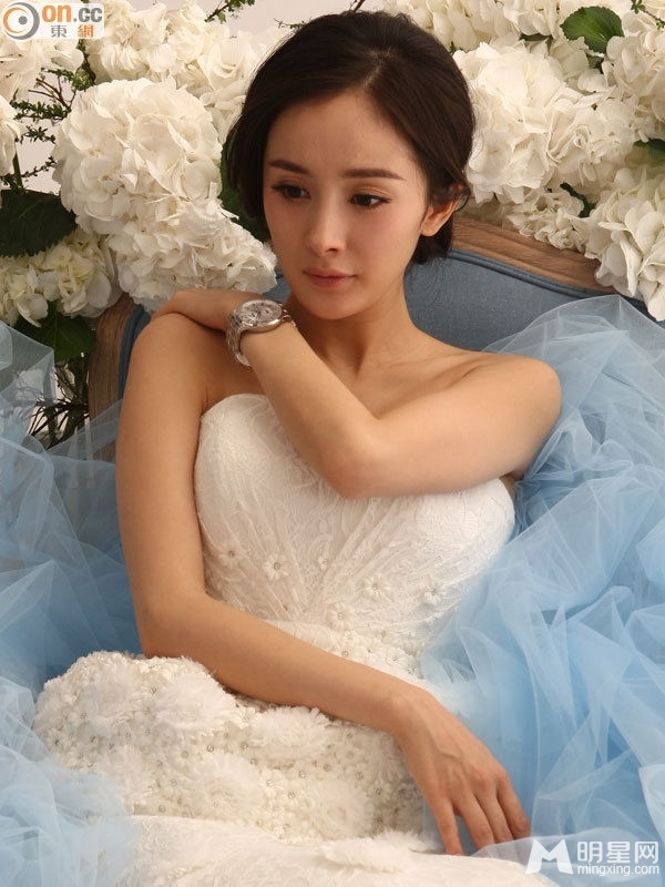 点击大图看下一张：马年欲结婚女星婚纱PK 最美新娘花落谁家(7)