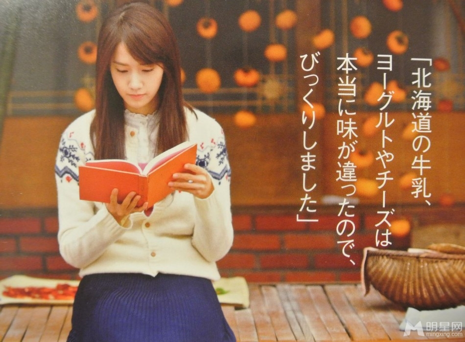 点击大图看下一张：张根硕允儿爱情雨日本官方手册图(2)
