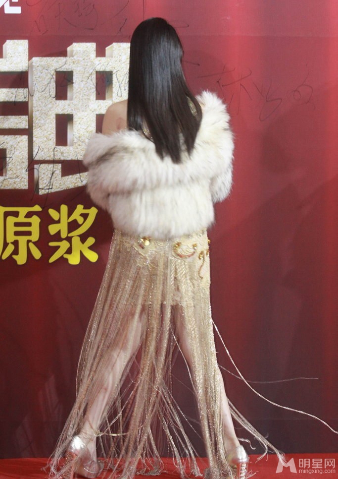 点击大图看下一张：2013年国剧盛典红毯 众女星抛胸露乳性感来袭(5)