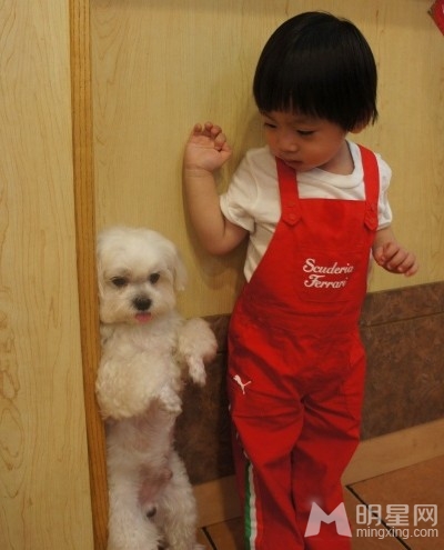 点击大图看下一张:爸爸去哪儿Kimi成长日记 可爱乖巧又帅气(28)