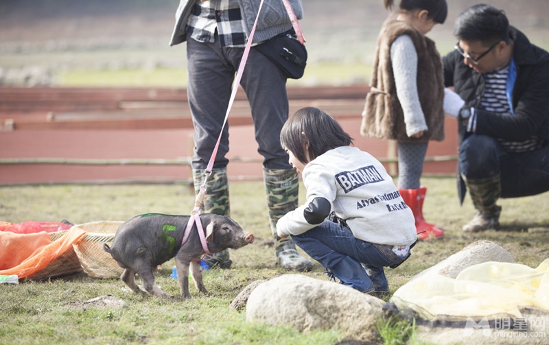 点击大图看下一张:爸爸去哪儿潮爸玩转大咖秀 宝贝与小猪齐赛跑(18)