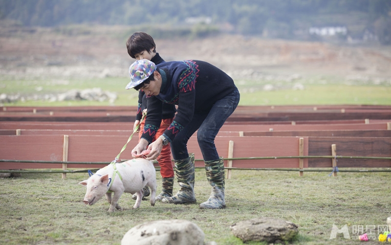 点击大图看下一张:爸爸去哪儿潮爸玩转大咖秀 宝贝与小猪齐赛跑(19)