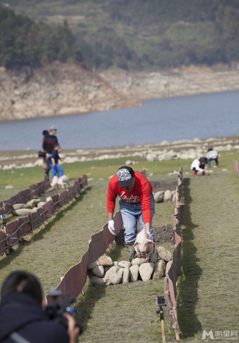 点击大图看下一张:爸爸去哪儿潮爸玩转大咖秀 宝贝与小猪齐赛跑(29)
