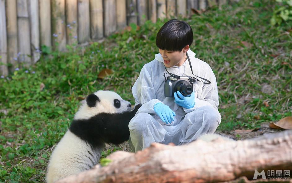 点击大图看下一张：李宇春和熊猫比萌 奇妙的朋友图集(5)