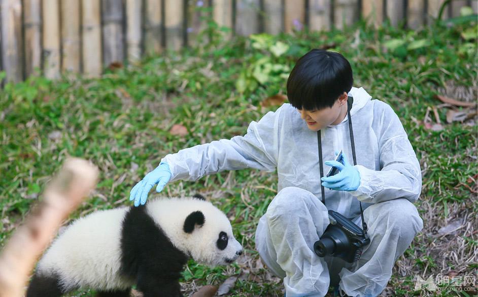 点击大图看下一张：李宇春和熊猫比萌 奇妙的朋友图集(3)