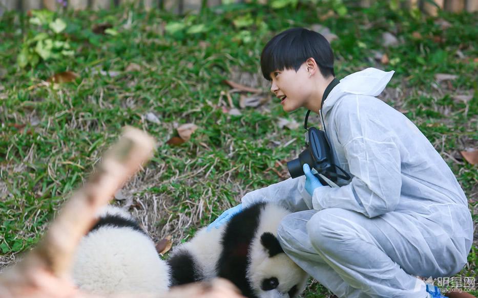 点击大图看下一张：李宇春和熊猫比萌 奇妙的朋友图集(4)