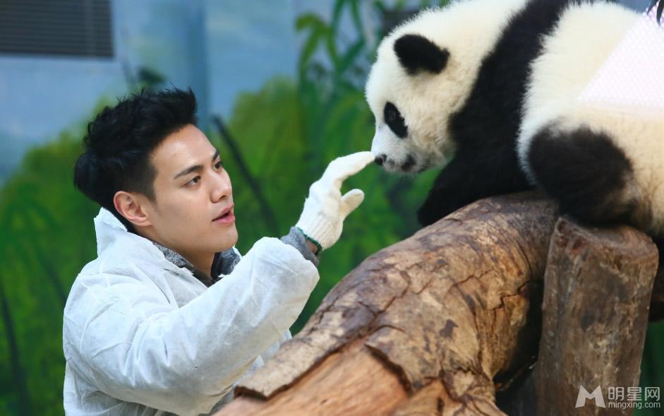 点击大图看下一张：李宇春和熊猫比萌 奇妙的朋友图集(7)