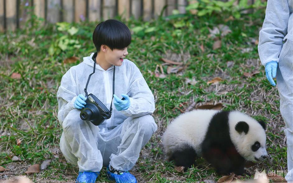 点击大图看下一张：李宇春和熊猫比萌 奇妙的朋友图集(8)