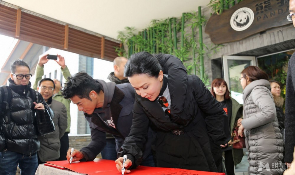 点击大图看下一张：郭富城刘嘉玲探访大熊猫 亲密互动做慈善(5)