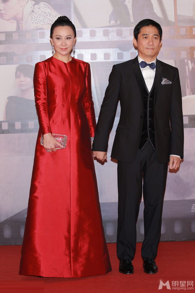 点击大图看下一张：第32届香港电影金像奖 梁朝伟刘嘉玲牵手亮相红毯(5)