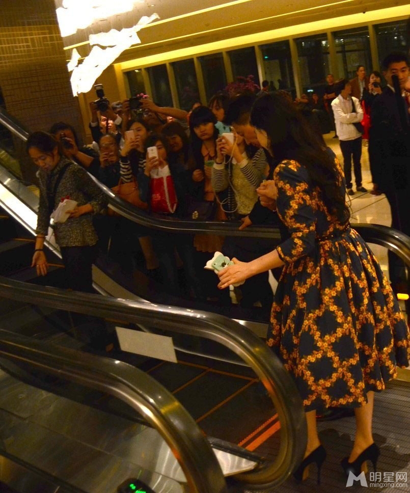 点击大图看下一张：范冰冰连身裙现身酒店活动 遭记者围堵追拍(6)