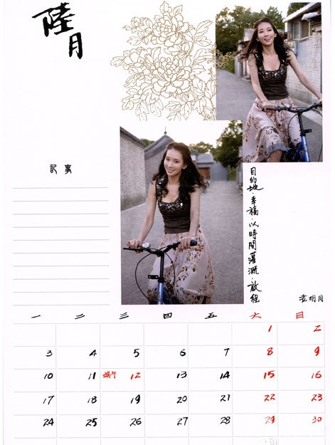 点击大图看下一张：林志玲2013年慈善月历性感写真(7)