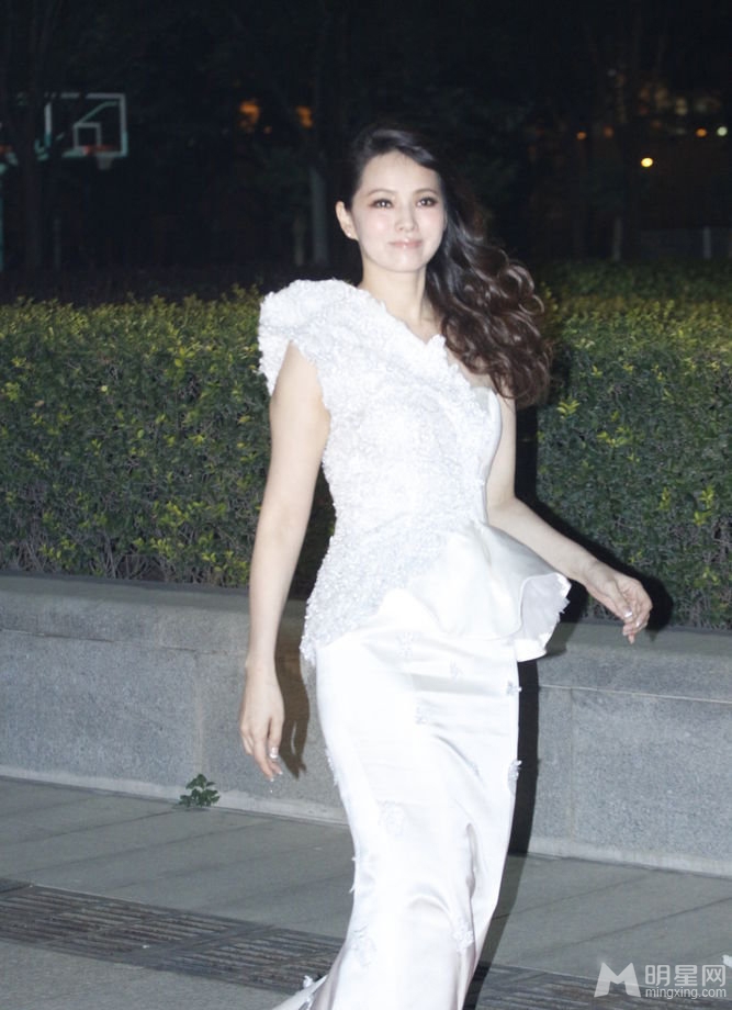 点击大图看下一张:柳岩伊能静众女星时装秀大争艳 齐秀乳(6)