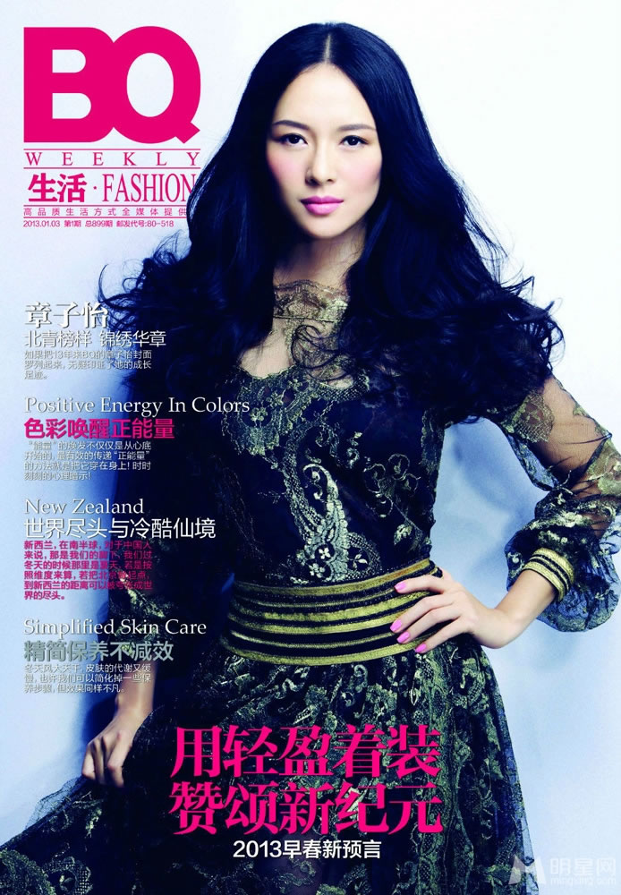 点击大图看下一张：章子怡2013年杂志封面写真(0)