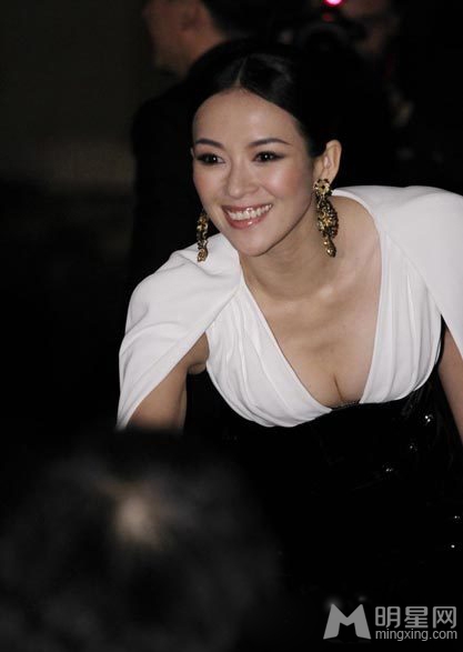 点击大图看下一张：章子怡深V露乳装亮相一代宗师发布会(14)