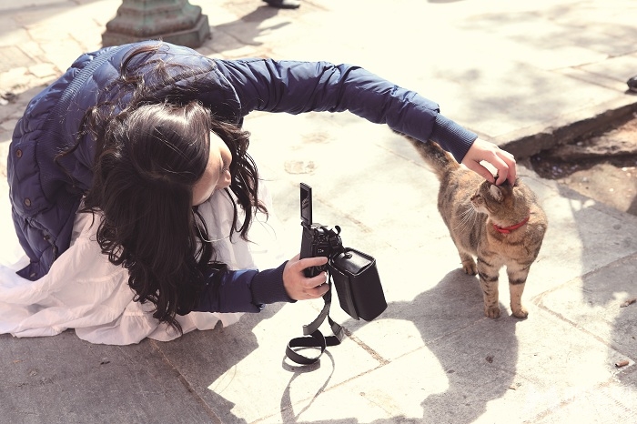点击大图看下一张:陈乔恩乔见猫写真集曝光(8)