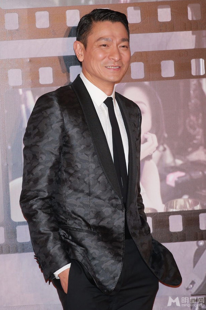点击大图看下一张：第32届香港电影金像奖 刘德华亮相红毯(4)