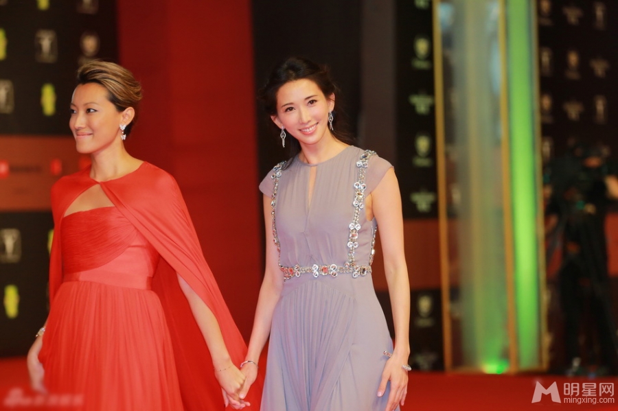 点击大图看下一张：上海电影节红毯群星斗艳 倪妮林志玲李冰冰争艳(5)
