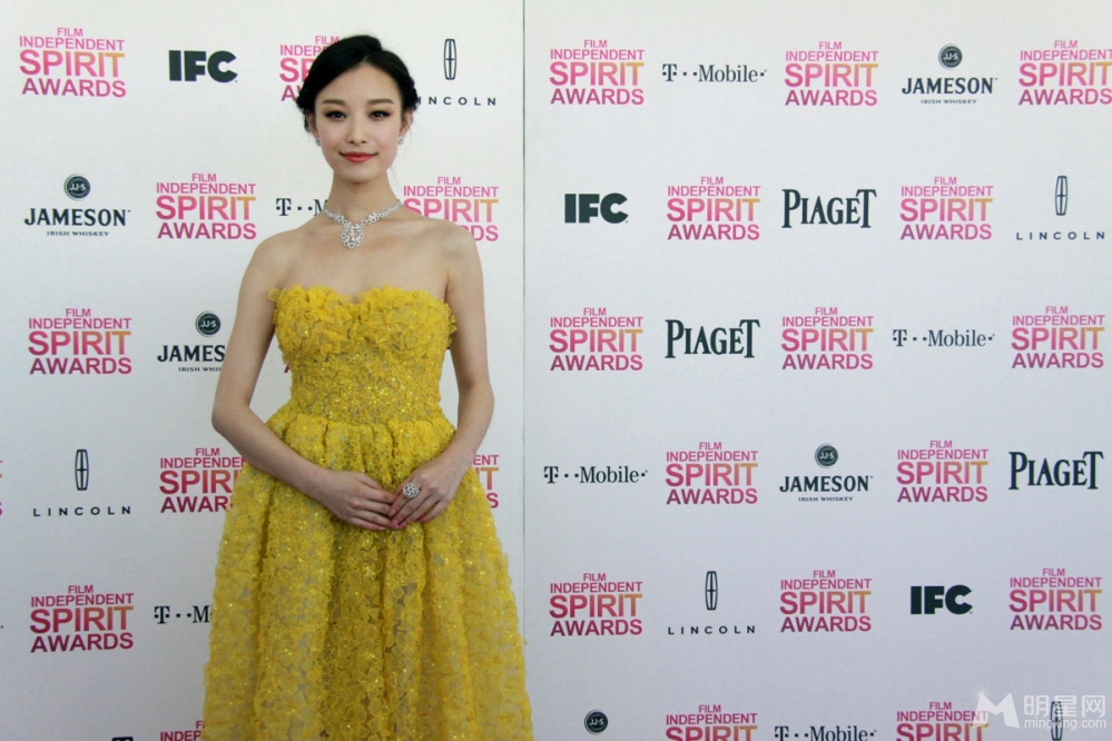 点击大图看下一张:倪妮优雅长裙亮相美国电影独立精神奖(12)