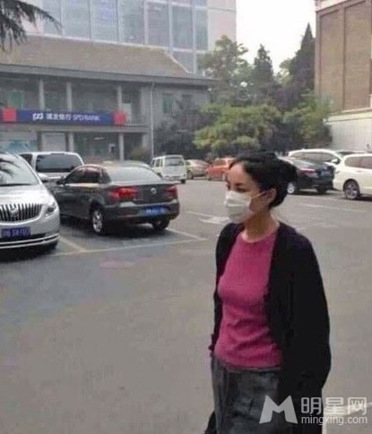点击大图看下一张：王菲素颜现身街头 口罩遮面神情严肃(0)