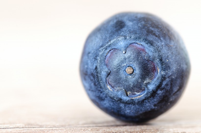点击大图看下一张：营养丰富的蓝莓图片