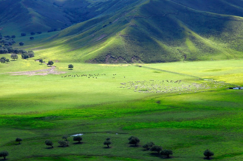 点击大图看下一张：绿色一望无际的草甸风景图片
