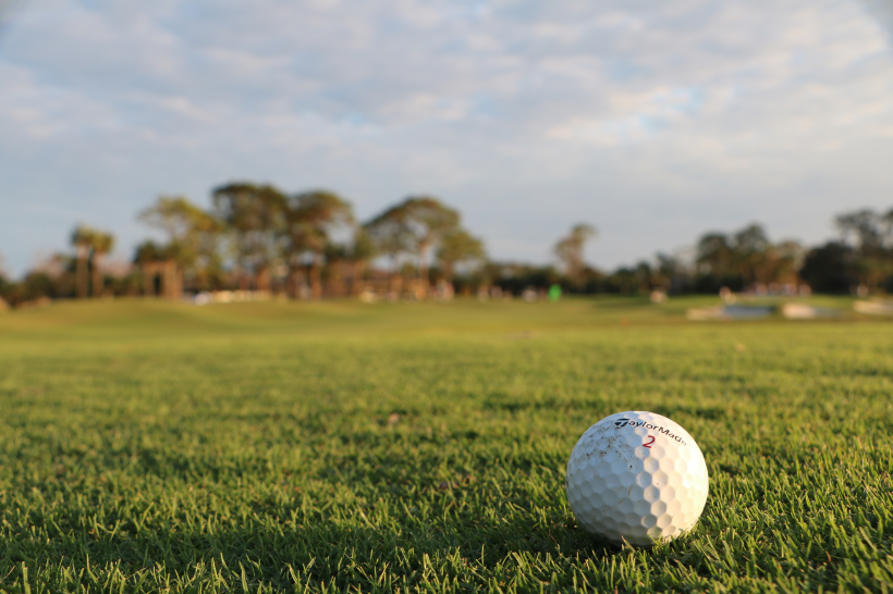 点击大图看下一张：草地上的白色高尔夫球图片
