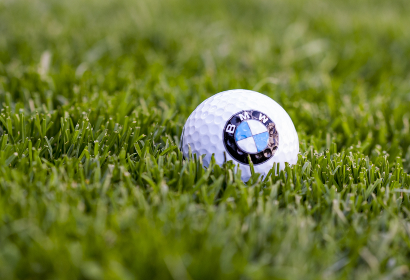 点击大图看下一张：草地上的白色高尔夫球图片